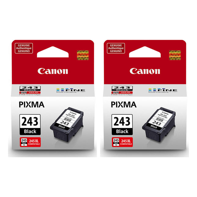 Canon PG-243 Original Black Ink Cartridges – Twin Pack